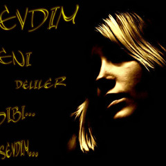 Recebim - Sevdim Deliler Gibi & ToLqà ßayram