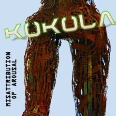 Kukula - 2011 - Misattribution of Arousal