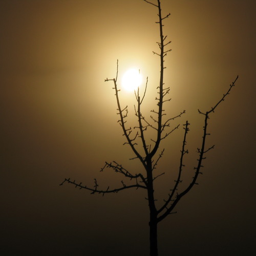 Black sky