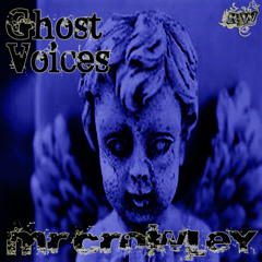 Mr. Crowley - Ghost With Voices