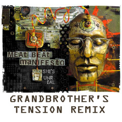 Meat Beat Manifesto - She's Unreal (Grandbrother's Tension Remix)