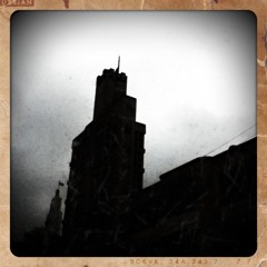 Comendo Lagartas e Defecando Borboletas