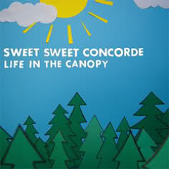 Sweet sweet concorde -  Time To Die