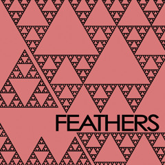 "Early Morning" - Feathers (Hunter's Moon LP)