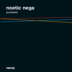 Noetic Nega - Take my time