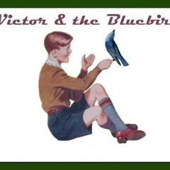 10 Victor and the bluebird