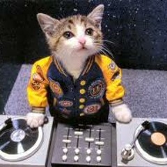 15 D.J.SPARKYDABLUNTST.GENET ELECTROLUVVAHS 15 PLAYLIST 15 FOR NOW 15 *¥* 15