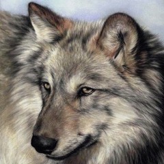 Единака - Пак ... (музиката)