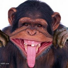 Dzp! - Uforia (Capital Monkey Remix)