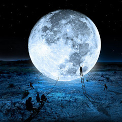 M.E.D.O. & Dejan Pocuc - Moonlight Walk(Original Mix)