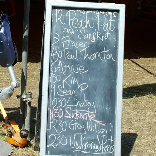 Paul Thornton - Live at The Beat-Herder Festival 2011 - Saturday Afternoon