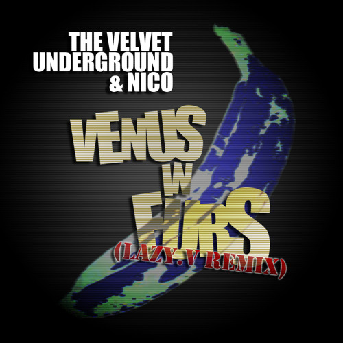 lyrics venus in furs the velvet underground