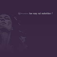 13 - thioro baye samba - orchestre baobab remix- how many real motherfckers ?