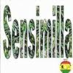 Riva Starr - Sensimilla