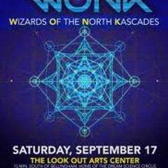 EOTO set. live at Wonk fest. bellingham Wa 9/17/11