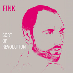 Move on Me (Innervisions Remix) - Fink