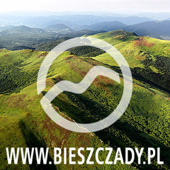 Nocny klangor przelatujących nad Bieszczadami żurawi