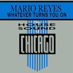 Mario Reyes " Whatever Turns You On " Farley Jackmaster 12" Mix