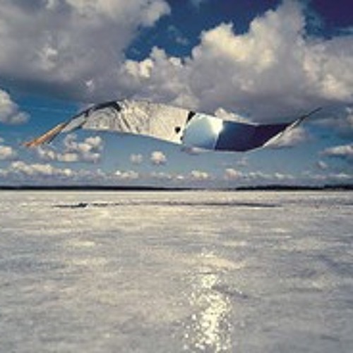 SIR DANCELOT & RAVENATOR - HORISONTAL MIRROR - FREE DOWNLOAD !