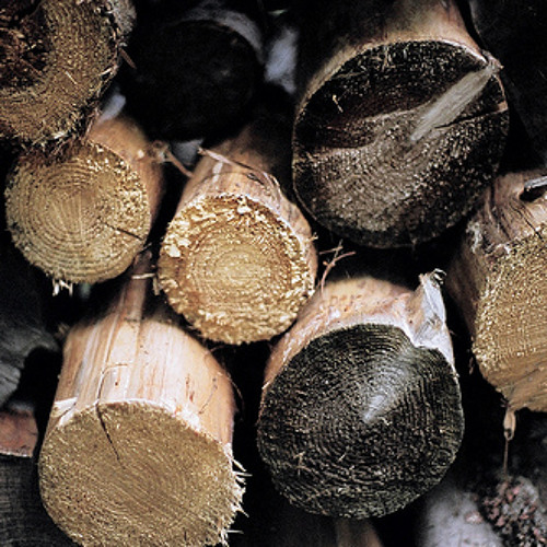 Fusion F & Come T - Wooden Tank