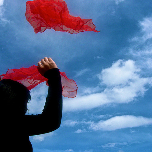 Fusion F & Come T - Superb Fly (Original New Mix)