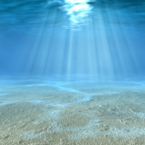 Fusion F & Come T - Underwater