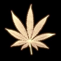 Glebstar - Natural Mystic