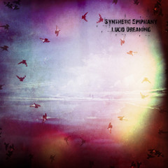Synthetic Epiphany - The Skies Limits