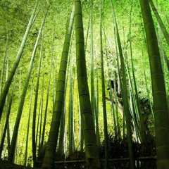 さとうきび Ba Ta Ke