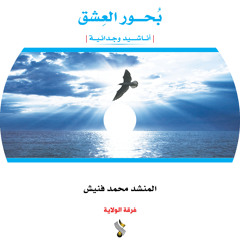 عجز الوصف محمد فنيش