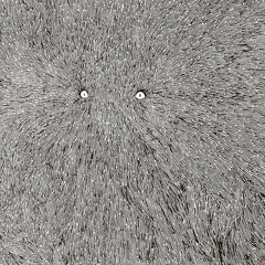 The Knotted Silk Cord