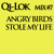 Artwork for Qi-Lok's - Angry Birds Stole My Life Mix