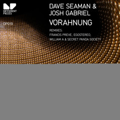 Dave Seaman & Josh Gabriel - Vorahnung - Original Mix edit