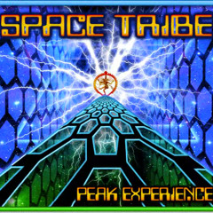 Beyond Words - Space Tribe & Dickster