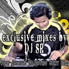 Teri Jawani Badi Mast ( Electro Sexy Mix)