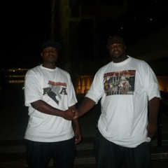 rhythem of the night