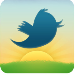Early Bird