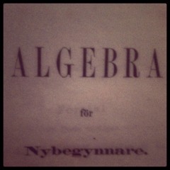 Negativa quantiteter