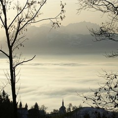 After the rain