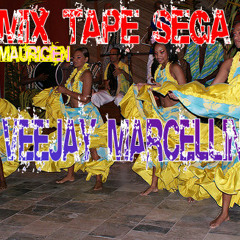 VEEJAY MARCELLIN PARIS - MIX TAPE LIVE SEGA MAURICIEN