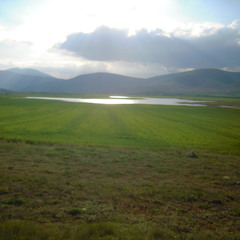 Aesthesys - Jacques-Yves Cousteau And The Deepest Surface