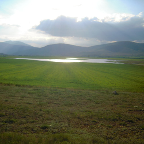 Aesthesys - Jacques-Yves Cousteau And The Deepest Surface
