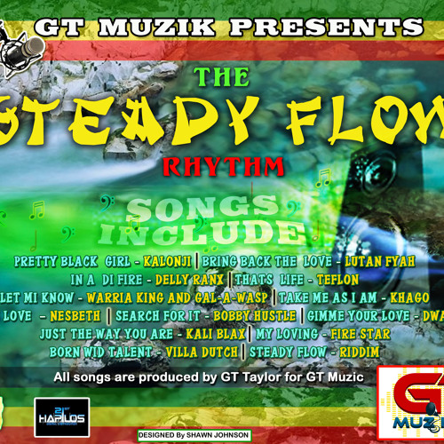 STEADY FLOW VERSION NEW