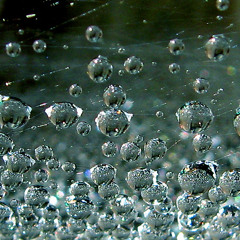 Effervescence sonore