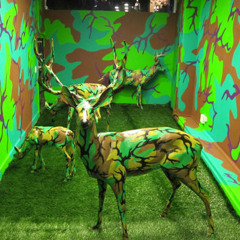 Martinez Gonzalez - Neon Duck Salad