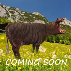 Sequence Swiss - Pferd