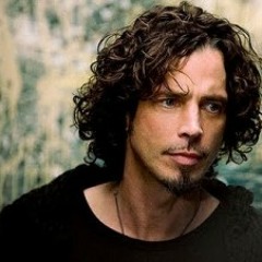 Chris cornell  - redemption song (bob marley cover)
