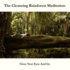 The Cleansing Rainforest Meditation