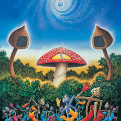 Acid Space vs SymFreq vs Earbug- Gnomos Ilegales