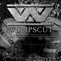 All Cried Out (1st  W  cover) - Wumpscut